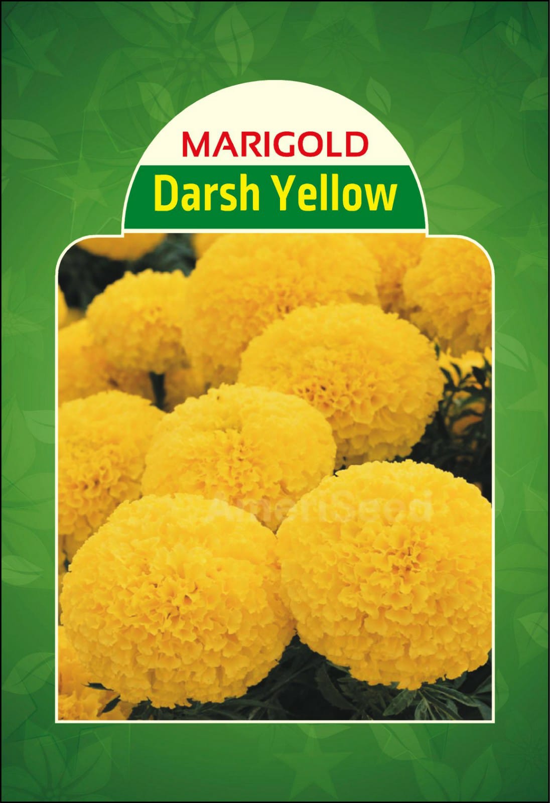 Marigold Darsh Yellow
